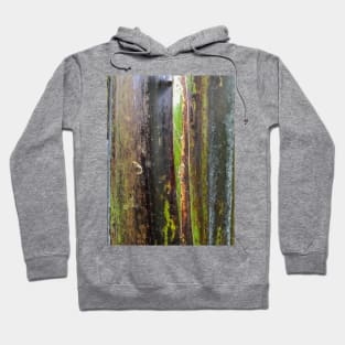 banana plant texture Hoodie